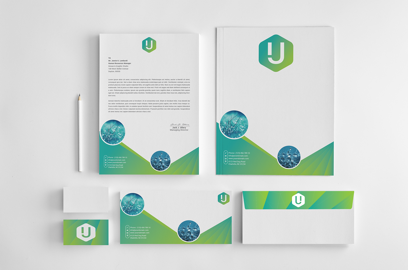 Branding and Design for Startups